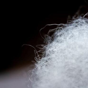 ea8ba6facbbba138967c721034f391c1